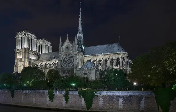 The sky, trees, night, lights, France, Paris, Notre Dame Cathedral