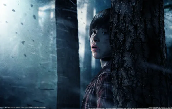 Picture forest, look, girl, trees, fear, rain, GameWallpapers, PS3