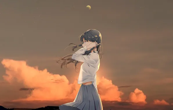 Picture girl, the evening, art