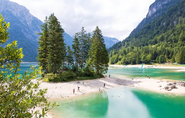 Forest, trees, mountains, nature, lake, Italy