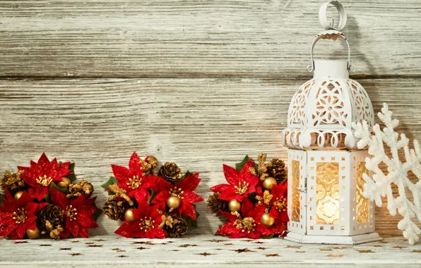 Picture flowers, holiday, lantern, New year, flowers, New Year, lantern