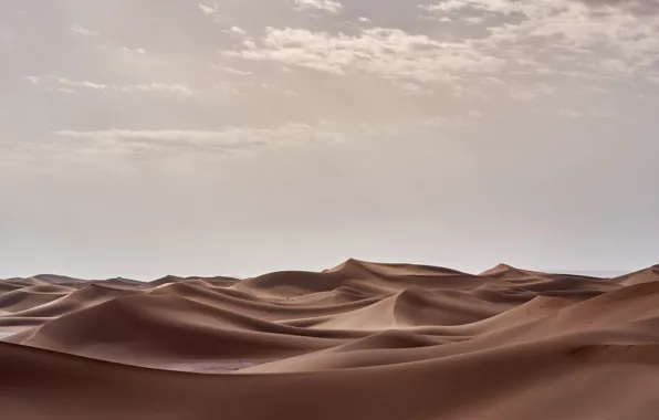 Sand, desert, barkhan
