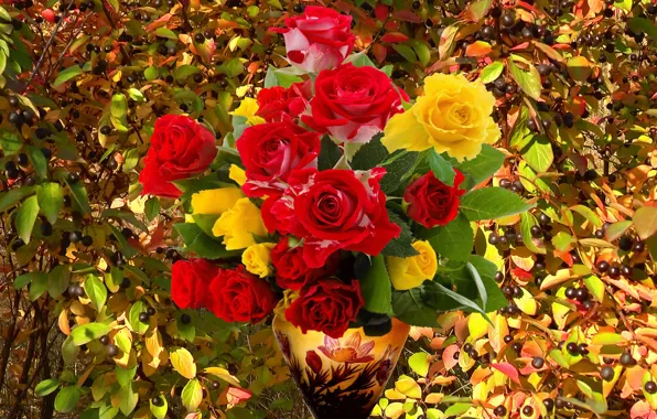 Picture autumn, leaves, berries, background, bouquet, vase, Roses, cover