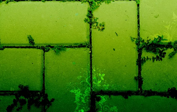 Picture green, texture, art, rosteniya