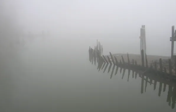 Fog, shore, the remains