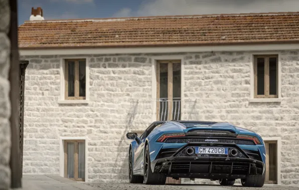 Picture Lamborghini, Huracan, rear view, Lamborghini Huracan EVO Spyder