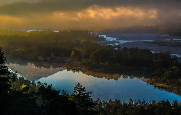 Forest, light, fog, reflection, river, view, morning, valley