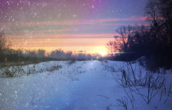 Picture field, forest, the sky, grass, the sun, snow, trees, sunset
