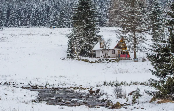 Picture Winter, Forest, House, Frost, Winter, Snow, Snowy Field, Forest