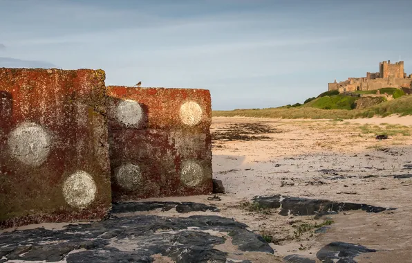 Sea, landscape, Bamburgh Castle