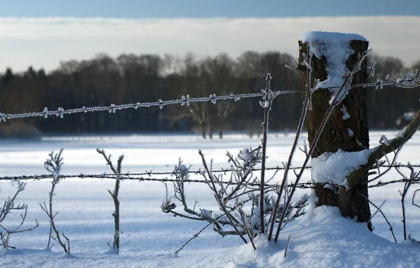 Winter, snow, landscape, the fence