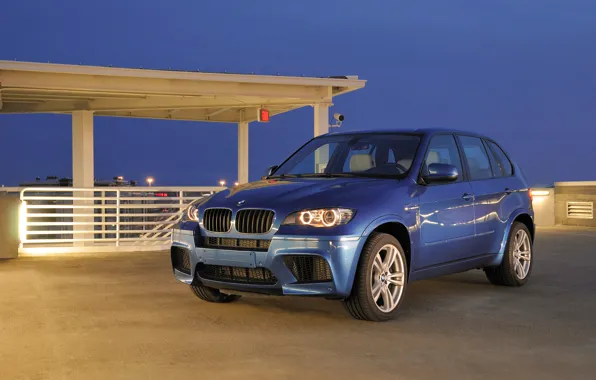 Blue, BMW, Machine, Boomer, BMW, Day, the front, SUV