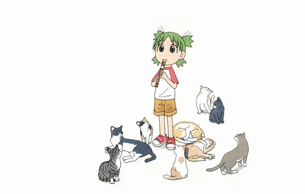 Cats, kittens, white background, flute, green hair, in shorts, Yotsubato, cat lady