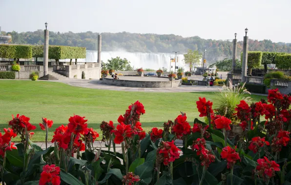 Picture flowers, Park, waterfall, Niagara, red, red, nature, park