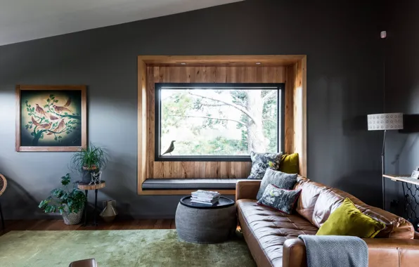 Room, interior, living room, Ashburton House