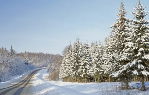 Picture winter, road, forest, trees, nature, photo, mountain