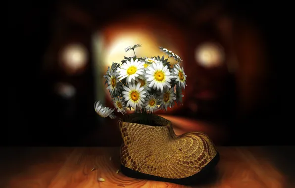 Chamomile, bouquet, Shoe