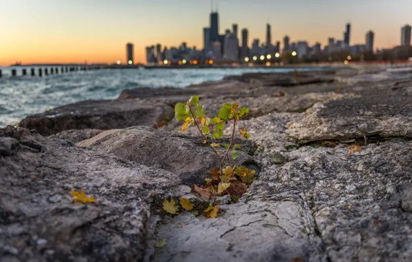 Lights, sheet, lake, stone, building, post, Chicago, Il
