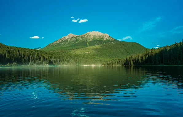 Forest, summer, water, clouds, mountains, lake, reflection, blue
