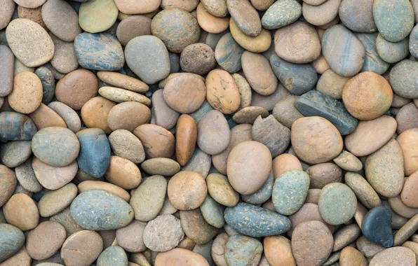 Picture beach, pebbles, stones, background, white, white, beach, texture