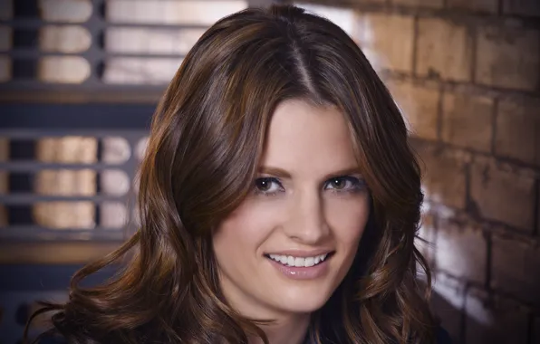 Picture face, smile, actress, brunette, closeup, Stana Katic, Mill CATIC
