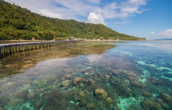 Bridge, tropics, the ocean, island, Laguna