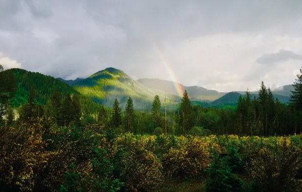 Picture clouds, mountains, rainbow, rainbow, forest, nature, mountains, meadows