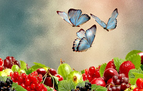 Berries, mood, butterfly, the Wallpapers