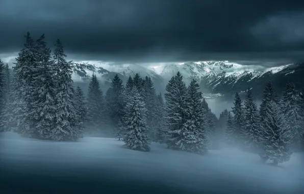 Winter, forest, snow, mountains