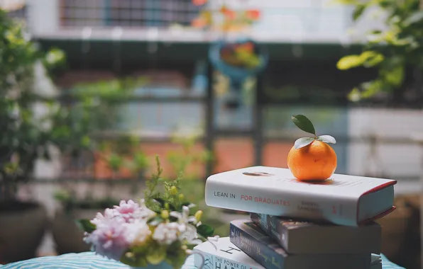 Picture flowers, street, books, orange