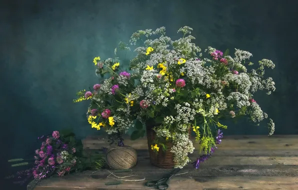 Flowers, retro, bouquet, clover, still life, thread, field, different