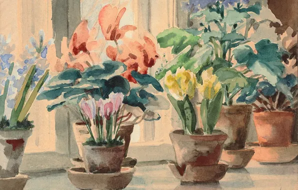 Flowers, sill, pots, window, Watercolor, Olga Kulikovskaya-Romanova