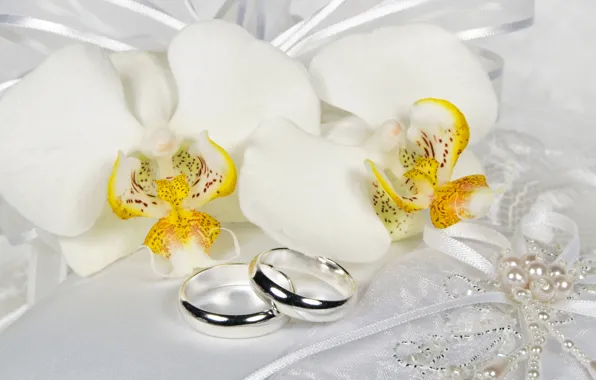 Flowers, ring, lace, white, orchids, bow, Orchid, Jewelry