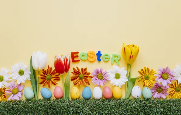 Tulips, Easter, Eggs, Holiday