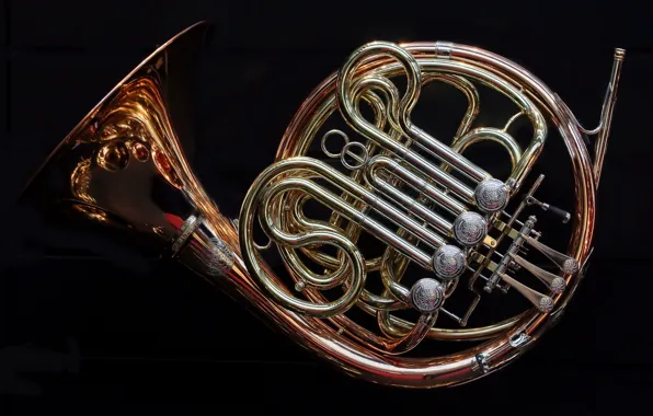 Picture background, tool, The French horn