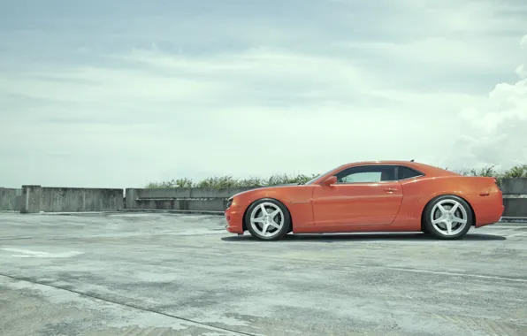 Camaro, orange, Camaro