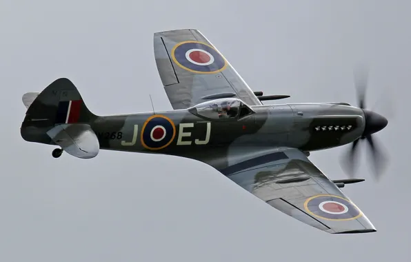 Picture the sky, fighter, British, single-engine, WW2, Supermarine, Spitfire Mk. XIV