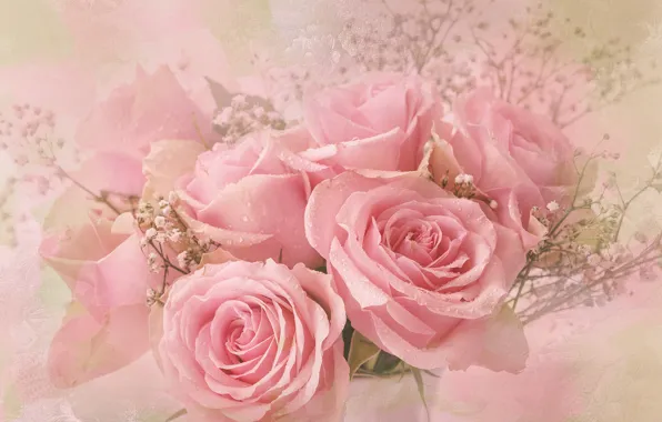 Picture drops, roses, bouquet, pink