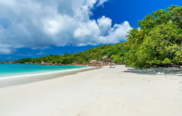 Sand, sea, beach, the sky, the sun, clouds, trees, tropics