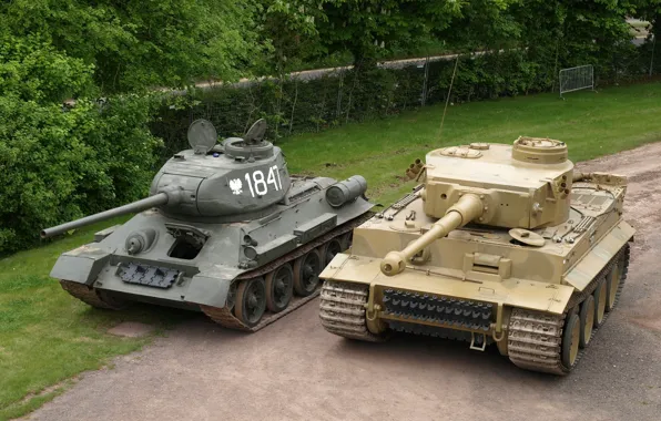 Tiger, The fence, Trees, Technique, T-34, Tanks, Military