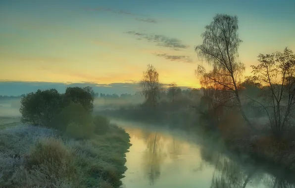 Trees, morning, haze, river, Alexey Nazarov, landscape