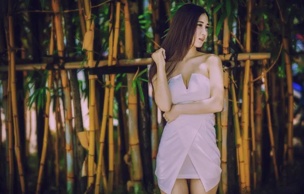 Model, bamboo, dress, Asian