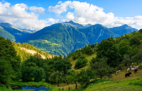 Forest, the sky, clouds, mountains, Switzerland, Feschel