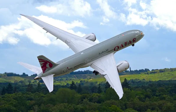 Forest, the sky, the plane, the rise, jet, passenger, Dreamliner, Boeing 787