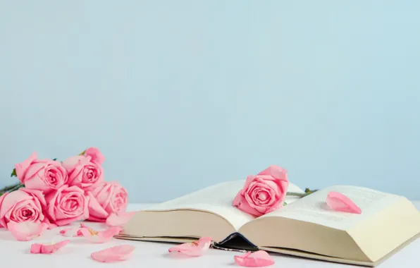 Flowers, roses, petals, book, pink, buds, pink, flowers
