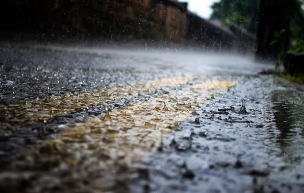Road, drops, the city, rain, street, the shower