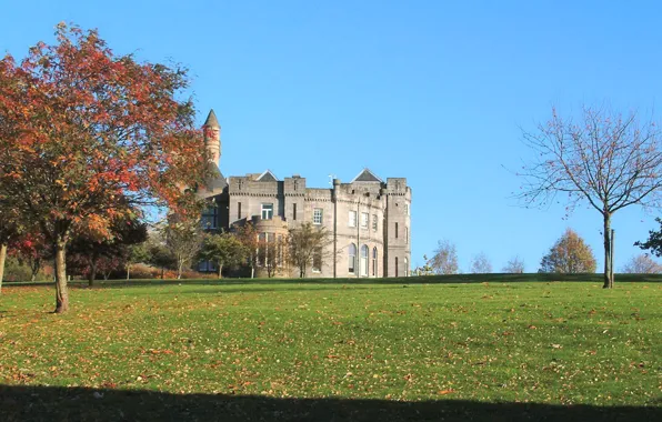 Field, autumn, the sky, trees, castle
