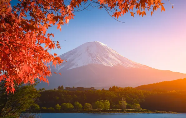 Autumn, the sky, leaves, colorful, Japan, Japan, red, maple