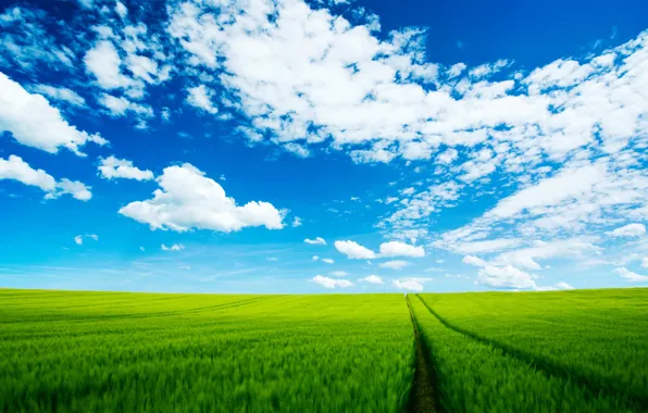 Road, field, the sky, clouds