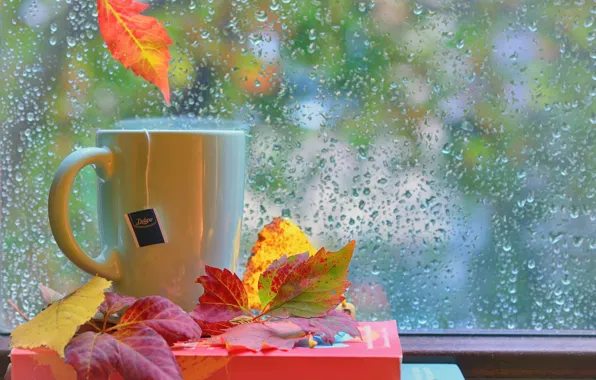 Autumn, leaves, drops, rain, books, window, Cup, still life